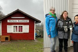 Collage, links eine rote Hütte auf grünem Rasen, darauf ein Schild "Tierheim Rendsburg", rechts drei Personen vor einem hellgrauen Hintergrund, sie halten silberne Spendendosen in den Händen